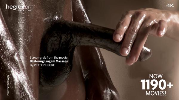Skærmgreb #7 fra filmen Blister Lingam Massage