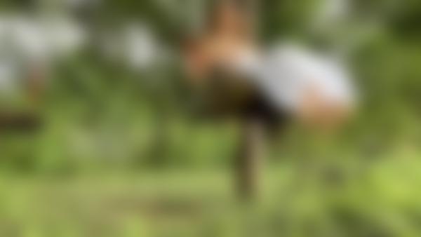 Capture d'écran #9 du film Jade désirs de Masturbation dans la jungle