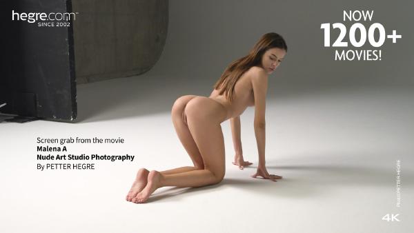 Screen grab #4 from the movie Malena A Nude Art Studio Photography