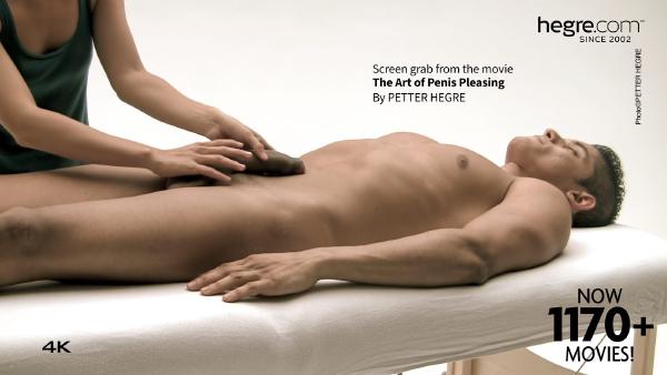 Skjermtak #3 fra filmen The Art Of Penis Pleasing