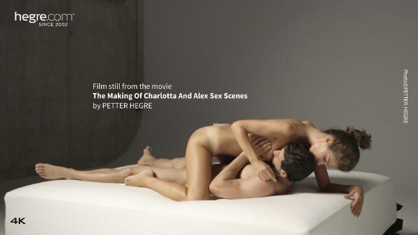 Λήψη οθόνης #2 από την ταινία The Making of Charlotta and Alex's Sex Scenes